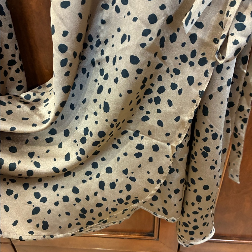 2/$40 Abercrombie Leopard Print Wrap Dress - Picture 7 of 9